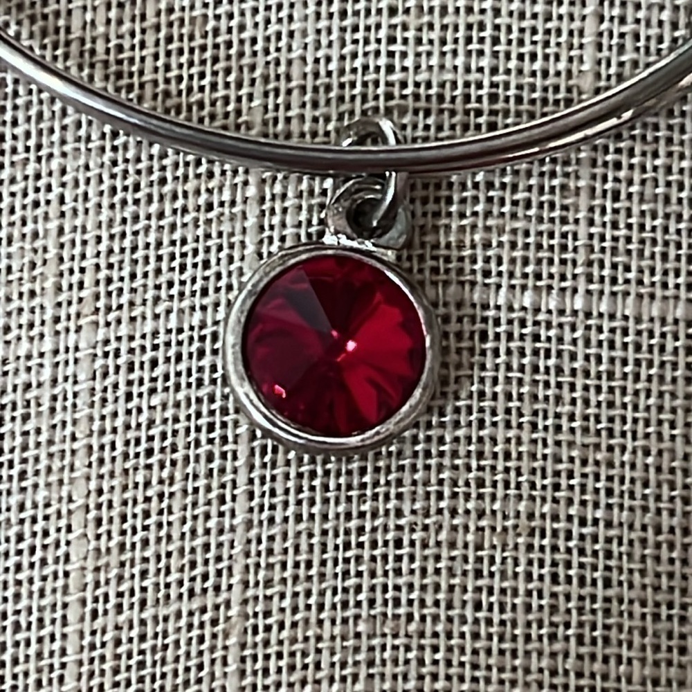 Alex & Ani January Birthstone Bracelet - Picture 5 of 6
